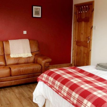 Maes Y Mor Apartment Llanarth  Luaran gambar