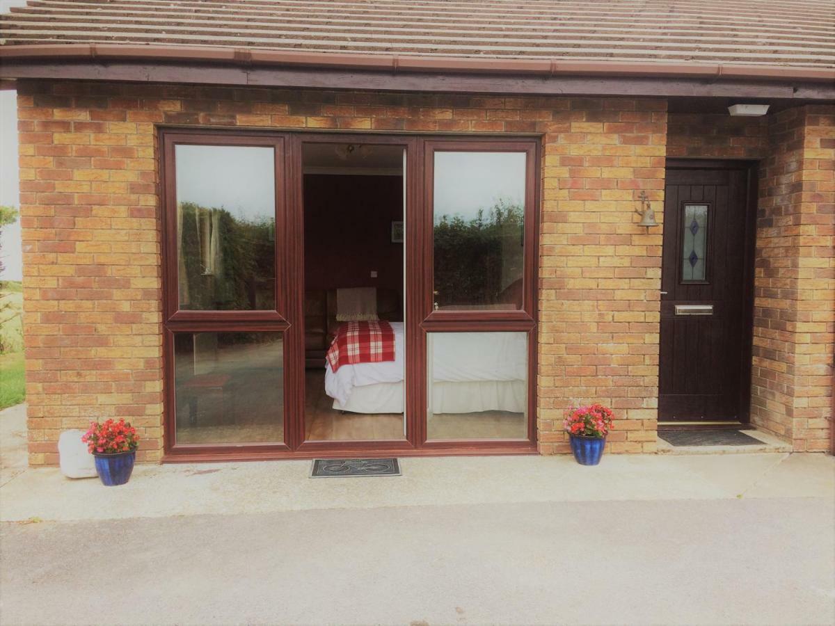 Maes Y Mor Apartment Llanarth  Luaran gambar