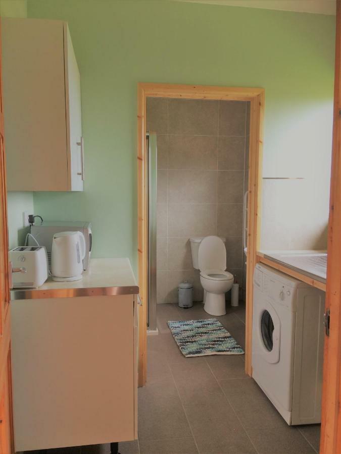 Maes Y Mor Apartment Llanarth  Luaran gambar