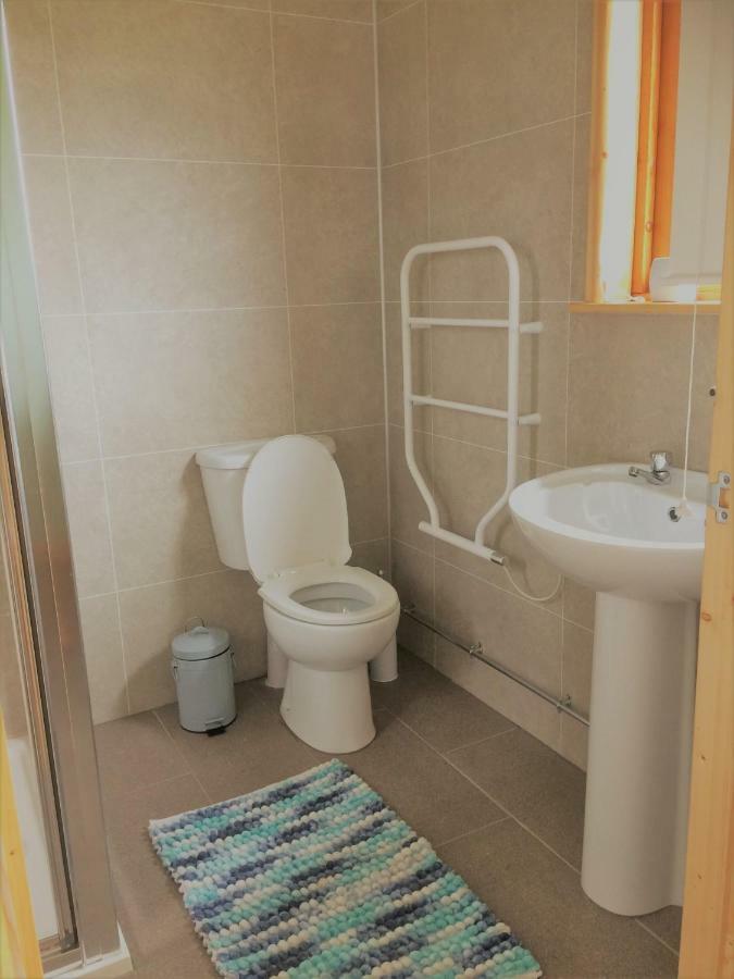 Maes Y Mor Apartment Llanarth  Luaran gambar